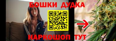 стаф Лесосибирск