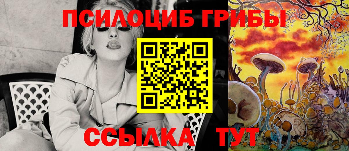 Псилоцибиновые грибы Psilocybine cubensis  Вход с VPN  Углич 