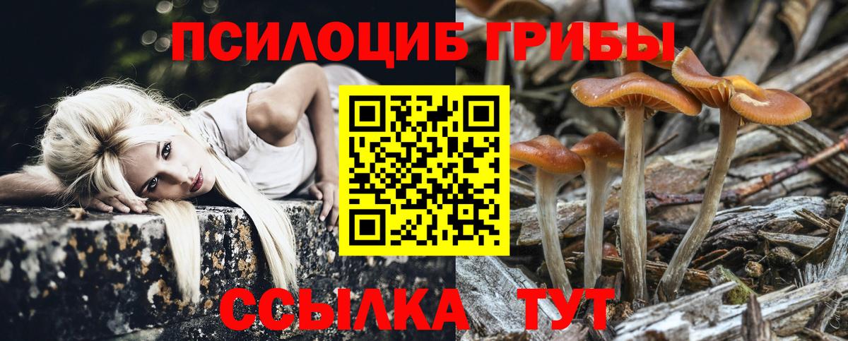 Псилоцибиновые грибы MAGIC MUSHROOMS Углич